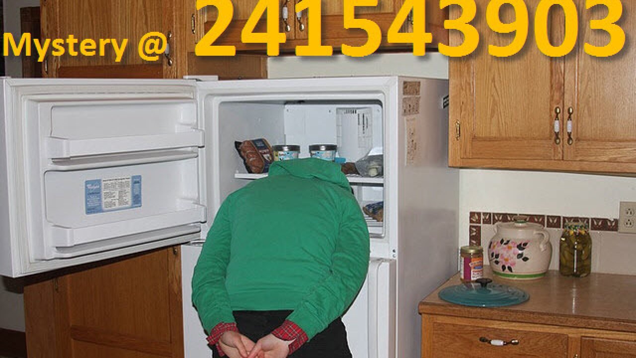 Heads In Freezers: The Mystery of 241543903